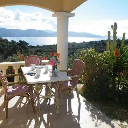 Villa Liamone Studio Fuer 3 Personen , 400 M Vom Strand, Pool, Klimaanlage Sagone  Dış mekan fotoğraf
