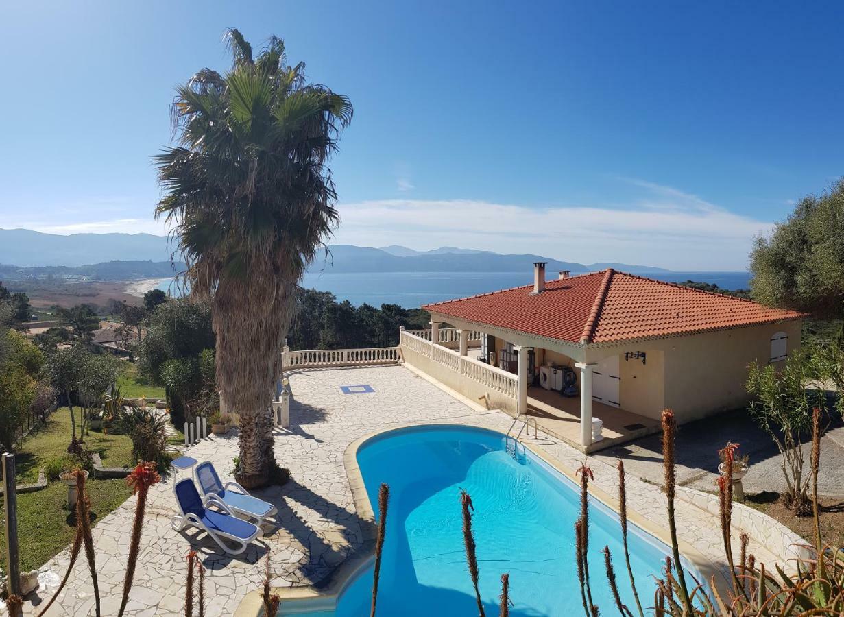 Villa Liamone Studio Fuer 3 Personen , 400 M Vom Strand, Pool, Klimaanlage Sagone  Dış mekan fotoğraf
